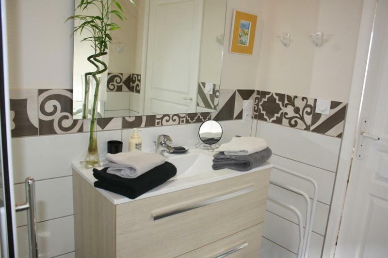 La Pecherie Bed & Breakfast Selles-sur-Cher Eksteriør bilde