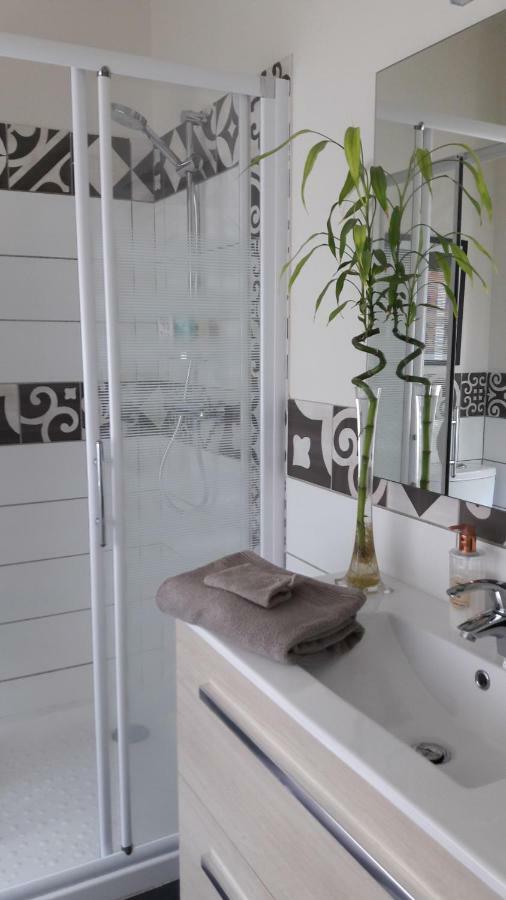 La Pecherie Bed & Breakfast Selles-sur-Cher Eksteriør bilde